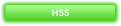 H55