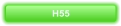 H55