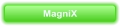 MagniX