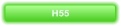 H55