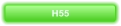 H55