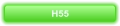 H55