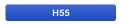 H55