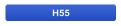 H55