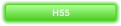 H55