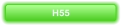 H55