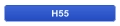 H55