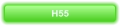 H55