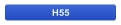 H55