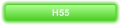 H55